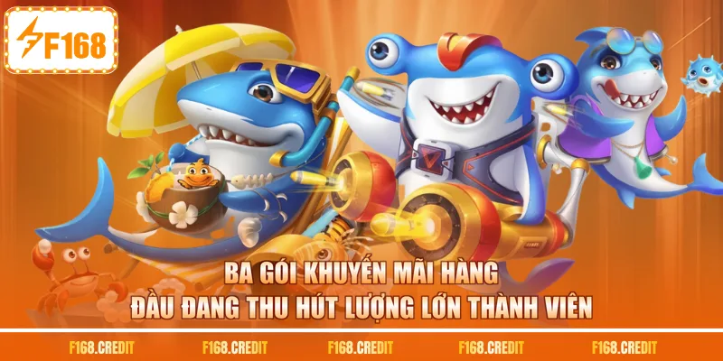 Ba gói khuyến mãi hàng đầu đang thu hút lượng lớn thành viên