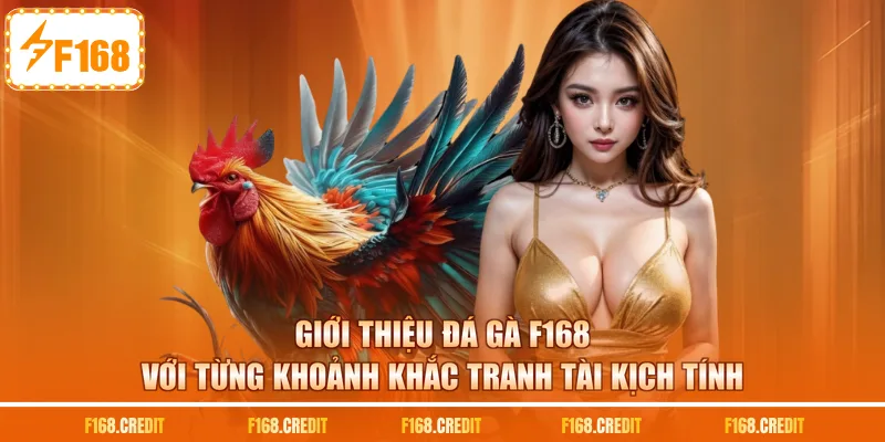Giới thiệu đá gà F168 với từng khoảnh khắc tranh tài kịch tính
