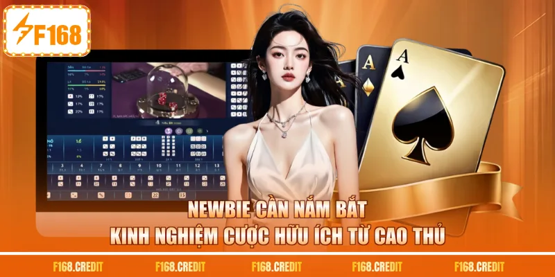 Newbie cần nắm bắt kinh nghiệm cược hữu ích từ cao thủ