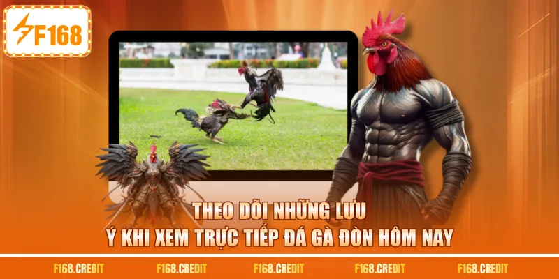 Theo dõi những lưu ý khi xem trực tiếp đá gà đòn hôm nay
